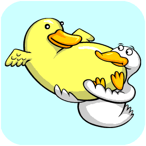 duck animation