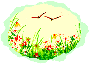 birds