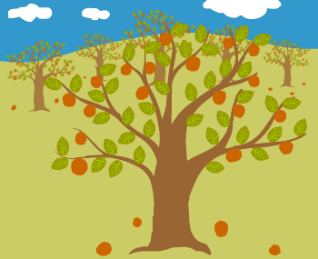 orchard
