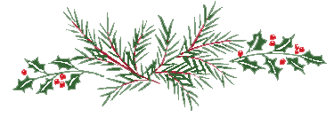 evergreen branches