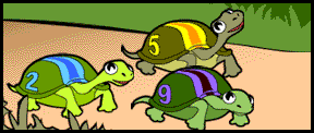 turtles racing