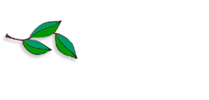 apple branch 