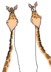 animation
