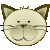 *ki005