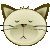 *ki006