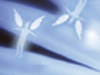 Friends Are Angels  -- Free Inspirational Nature, Screensavers from American Greetings