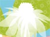 Springtime  -- Free Celebrate Spring, Screensavers from American Greetings