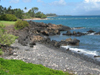 Tropical Scenes  -- Free Beach, Nature Screensavers from American Greetings