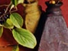 Still Life  -- Free Celebrate Fall, Screensavers from American Greetings
