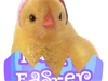 Easter Surprise  -- Free Animal, Screensavers from MSN Greetings