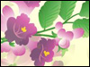 Lavender Blooms  -- Free Celebrate Spring, Screensavers from American Greetings