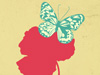 Just Fluttering By  -- Free Trendy, Screensavers from American Greetings