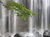 Tropical Waterfalls  -- Free Animated, Screensavers from American Greetings