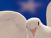Celebrating Freedom  -- Free Traditional Holiday Animal, Screensavers from American Greetings