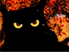 Magic and Mystery -- Free Halloween screensavers -- Yahoo! Greetings screensavers