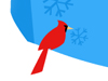 Snowbirds  -- Free Animal, Screensavers from MSN Greetings