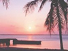 Tropical Sunset  -- Free Beach, Nature Screensavers from American Greetings