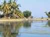 Bali Serenity  -- Free Beach, Nature Screensavers from American Greetings