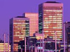 Bright Lights, Big Cities 