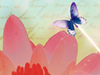 Water Lily  -- Free Trendy Nature, Screensavers from American Greetings