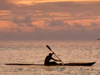 Tropical Sunsets  -- Free Beach, Nature Screensavers from American Greetings