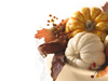 autumn harvest