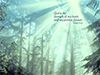 Psalms 73:26  -- Free Religious Nature, Desktop Wallpapers from American Greetings
