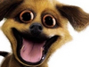 Office Craziness  -- Free Funny Dogs,Funny  Pets Desktop Wallpapers from American Greetings