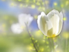 May Calendar 