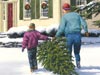 Home For The Holidays  -- Free Holiday Nature, Desktop Wallpapers from American Greetings