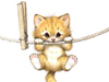 Hang in There! 