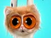 Hang in There!  -- Free Pets Nature, Desktop Wallpapers from American Greetings