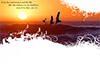 Gulls and Waves  -- Free Religious Nature, Desktop Wallpapers from American Greetings