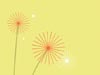 Modern Red Dandelions  -- Free Simple Nature, Desktop Wallpapers from American Greetings