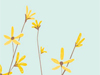 January Calendar  -- Free Simple Nature, Desktop Wallpapers from American Greetings