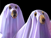 Spooky Pooches 