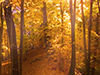 The Spirit of Autumn -- Free Thanksgiving wallpapers -- Yahoo! Greetings wallpapers