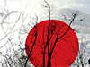 Winter Sunset  -- Free Trendy, Desktop Wallpapers from American Greetings