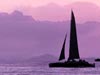 Tropical Lights  -- Free Traditional Celebrate Summer, Desktop Wallpapers from American Greetings