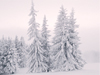 January Calendar  -- Free , Desktop Wallpapers from American Greetings