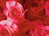 February Calendar  -- Free Holiday, Desktop Wallpapers from American Greetings