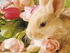 Adorable April Calendar  -- Free Holiday Calendar, Desktop Wallpapers from American Greetings