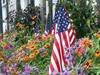 July Calendar  -- Free Traditional, Desktop Wallpapers from American Greetings