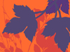 Autumn Tapestry  -- Free Trendy Just Because Nature, Desktop Wallpapers from American Greetings