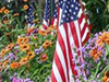 Patriotic Bouquet  -- Free 4th of July, Holiday Desktop Wallpapers from American Greetings