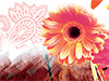 Daisy Dreams  -- Free Abstract Desktop Wallpapers from MSN Greetings