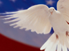 Land of Peace  -- Free 4th of July, Holiday Desktop Wallpapers from American Greetings
