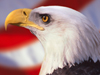 bald eagle and american flag wallpaper