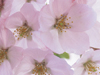 May Calendar 