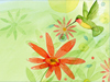 Hungry Hummingbird  -- Free Trendy, Desktop Wallpapers from American Greetings